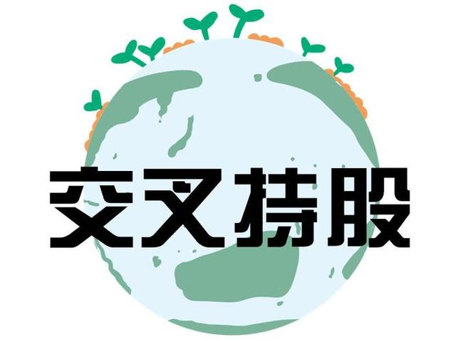 交叉持股安排设计(交叉持股怎么计算持股比例)九江市